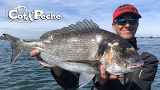 Pêche de la dorade royale avec Yoann Houssais [upl. by Rennane342]