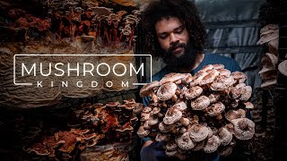 Cultivating Gourmet and Medicinal Mushrooms  PARAGRAPHIC [upl. by Ingaborg]