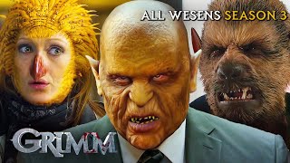 EVERY Wesen From Season 1  Grimm [upl. by Halehs423]