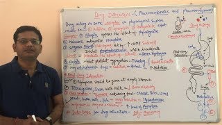 Drug Interaction Part 02  Pharmacokinetic amp Pharmacodynamics Drug Interaction  Drug Interaction [upl. by Schreiber]