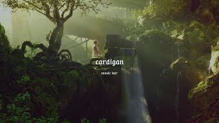 taylor swift  cardigan slowed  reverb [upl. by Onfroi]