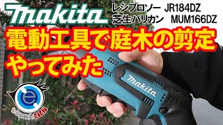 【Tool】makitaの電動工具で庭木の剪定やってみた [upl. by Esdnyl]