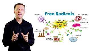 What Is Oxidation – DrBerg on Free Radicals and Antioxidants [upl. by Grace]