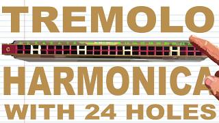 How to Play a Tremolo Harmonica with 24 Holes [upl. by Animor]