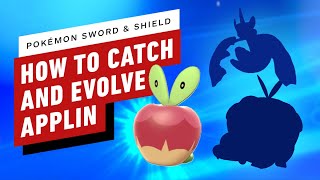 How to Evolve Applin to Appletun or Flapple  Pokemon Sword and Shield [upl. by Sille]