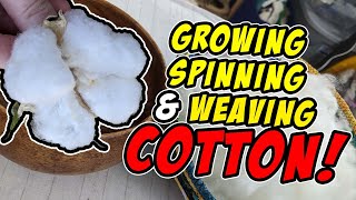 Growing Spinning and Weaving Cotton [upl. by Jarred]