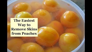 The Easiest Way to Remove the Skins from Peaches [upl. by Aleet]