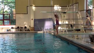 Teach a Flip for Springboard Diving [upl. by Paradies423]