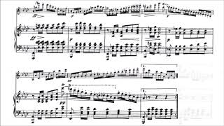 Franz Schubert  Fantasy for Violin and Piano With score [upl. by Chrissa]