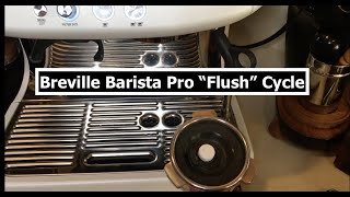 How to Clean  Flush  Breville Barista Pro  Cleaning Cycle 브레빌870 클린미 청소법 [upl. by Gytle854]