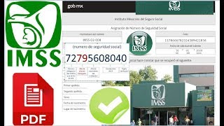 2021CÓMO SACAR MI NÚMERO DE SEGURIDAD SOCIAL IMSS NSS Y ACTUALIZAR DATOS PERSONALES SIN IR A OFICI [upl. by Ynnep]