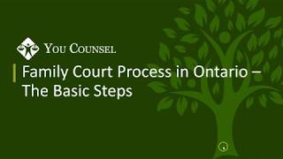 Family Court Process in Ontario  The Basic Steps [upl. by Massimo374]