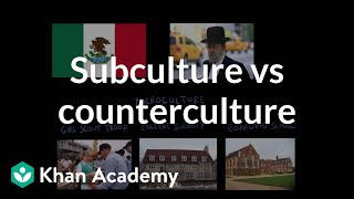 Subculture vs counterculture  Society and Culture  MCAT  Khan Academy [upl. by Eiramnaej]