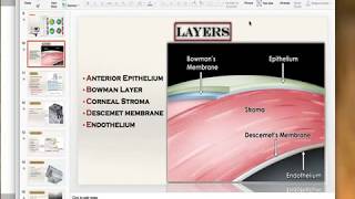 Anatomy of the cornea Microscopic [upl. by Rubma]