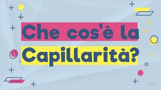 Videoesperimenti  La capillarità [upl. by May]