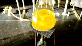 iodure de potassium vs nitrate de plomb II [upl. by Dawes484]