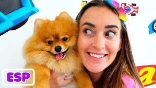 Vlad y Nikita Colección de videos con animales [upl. by Annahsirhc]