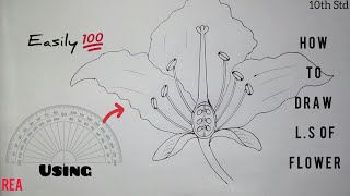 How to draw Longitudinal Section of Flower  Class 10 [upl. by Car]