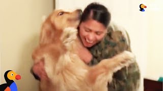 Dog Goes Crazy Every Time Marine Mom Comes Home  OSHIE  The Dodo [upl. by Llenrev]