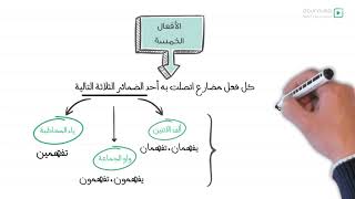 2AM  الأفعال الخمسة  السنة الثانية متوسط [upl. by Bordy]