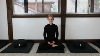 Zen Meditation Instruction How to Meditate [upl. by Eiggam]