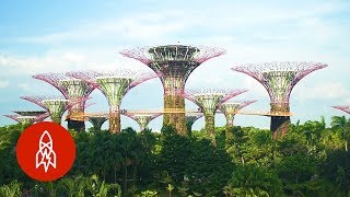 Visit Singapores Stunning Grove of ManMade Trees [upl. by Crescantia]