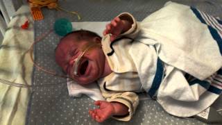 Jacksons sad Preemie cry [upl. by Davena414]