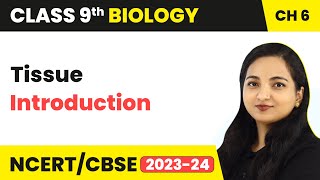 Introduction  Tissue  Class 9 Biology Chapter 6  202324 [upl. by Horst]