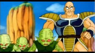 Best Nappa Moments In DBZ Abridged [upl. by Hebrew521]