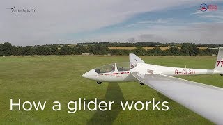 How a glider works [upl. by Lednew]