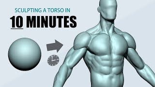 Sculpting a Torso using ZBrush in 10 minutes [upl. by Irama]