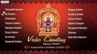 Vedic Chanting  S Rajagopalsharma Sanskrit Devotional Jukebox  Aditya Bhakti vedicchanting [upl. by Naivart958]