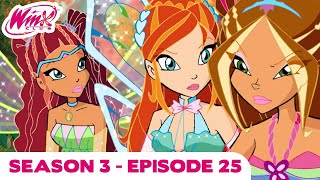 Winx Club  FULL EPISODE  Wizards Anger  Season 3 Episode 25 [upl. by Orji]