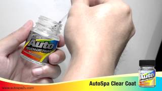 Autospa TouchUp Paint [upl. by Elconin8]