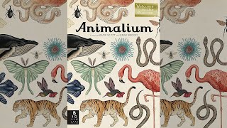 Animalium Welcome to the Museum [upl. by Asillam127]