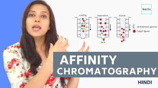 Affinity chromatography  Introduction and Principle in Hindi [upl. by Raffarty]