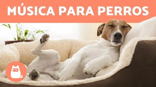 MÚSICA PARA DORMIR PERROS 🐶 💤 ¡Relaja y mejora la ansiedad [upl. by Adnahcir]