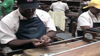 Making a Premium Hand Made Cigar [upl. by Shirlee]