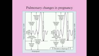 Basic Physiology of Pregnancy  CRASH Medical Review Series [upl. by Lucie]