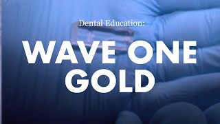 Endodontics Wave One Gold Demonstration [upl. by Cornelie513]