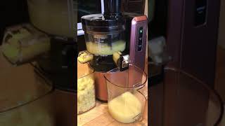 Using my Hurom juicer to make lemon juice [upl. by Joub327]