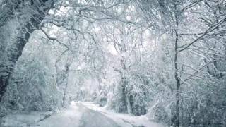 Blizzard Sounds for Sleep Relaxation amp Staying Cool  Snowstorm Sounds amp Howling Wind in the Forest [upl. by Walton]