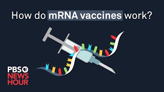 How do mRNA COVID19 vaccines work [upl. by Annibo]