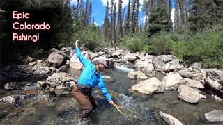 The TOP 10 fishing spots in Colorado  McFly Angler Fly Fishing [upl. by Asiar]