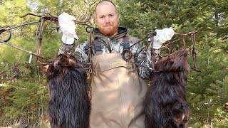 quotHow And Where To Set Beaver Trapsquot Beaver Trapping Basics Part 2 [upl. by Evad]