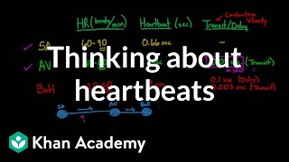 Thinking about heartbeats  Circulatory system physiology  NCLEXRN  Khan Academy [upl. by Sivle291]