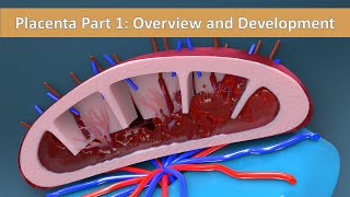 Placenta Part 1 Overview and Development of Placenta [upl. by Turley]