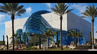 The Dali Museum An Unparalleled Experience [upl. by Haraz]