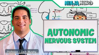 Neurology  Autonomic Nervous System [upl. by Daffi342]