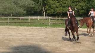 Cours de dressage Sonia et Wendy [upl. by Tingey679]